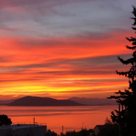 Willa Cozy Sunset House Aegina Zewnętrze zdjęcie
