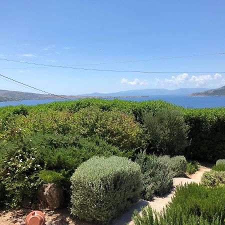 Willa Cozy Sunset House Aegina Zewnętrze zdjęcie